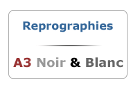 Reprographies A3 Noir et Blanc sur Internet