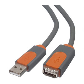 Belkin Câble USB 2 - A/B - 1,8 mètres - CU1100AED06