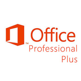 MICROSOFT Office Professional Plus 2013 OPEN