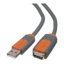Belkin Câble USB 2 - A/B - 1,8 mètres - CU1100AED06